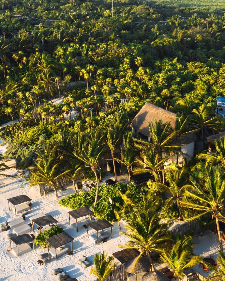 Hotel Nest Tulum Exteriér fotografie