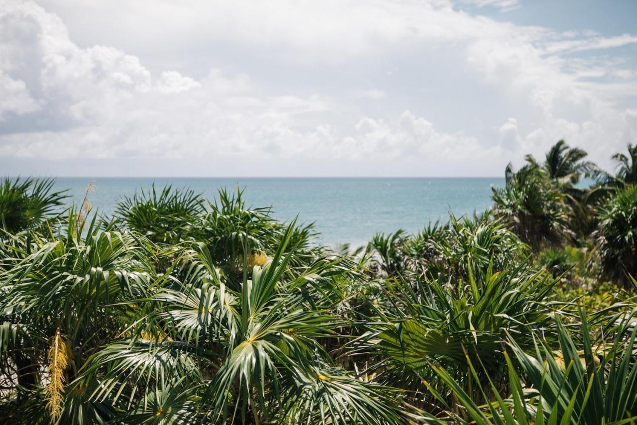 Hotel Nest Tulum Exteriér fotografie